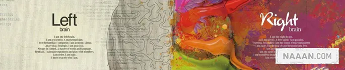 规划师的思想收拾术:四个思想可视化模型