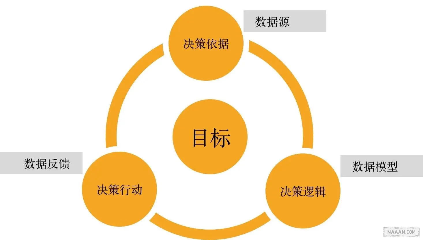 decision-circle