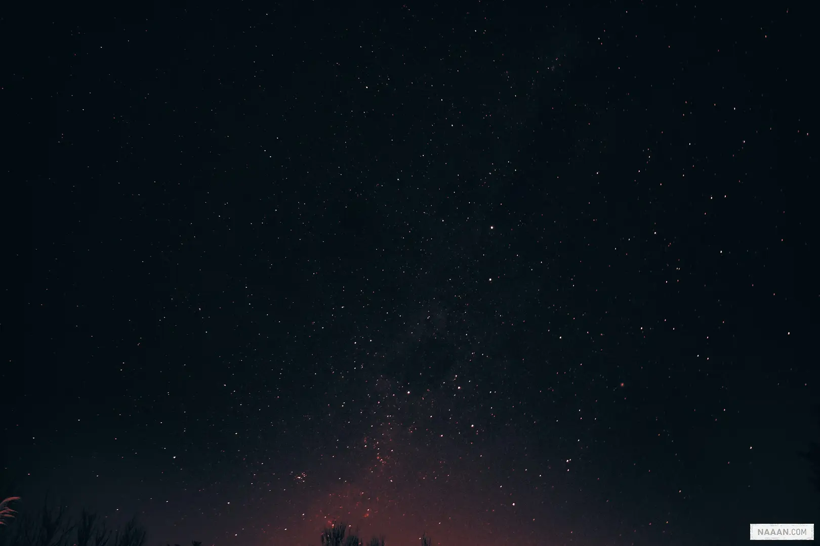 L84_放慢时间的感知