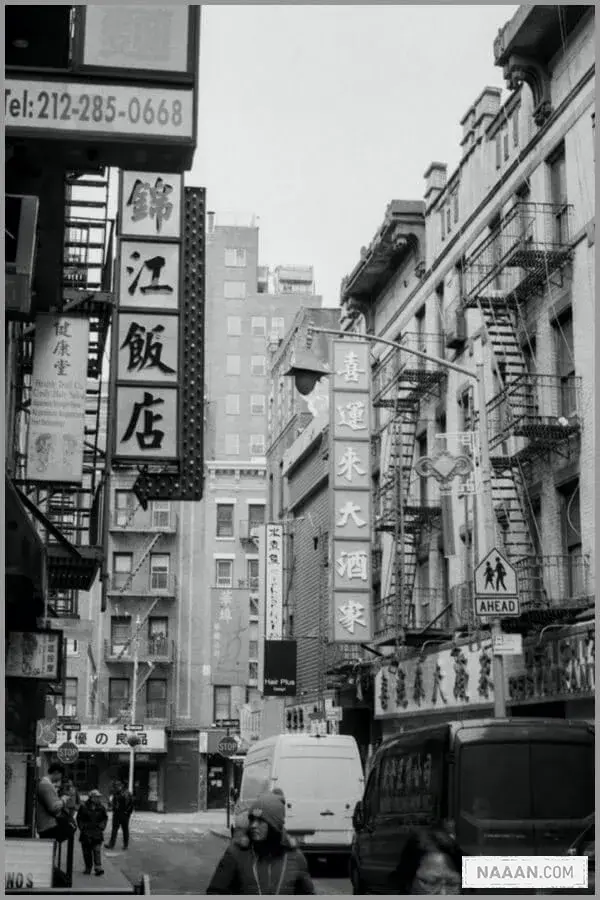 Pasted image 20230321230234