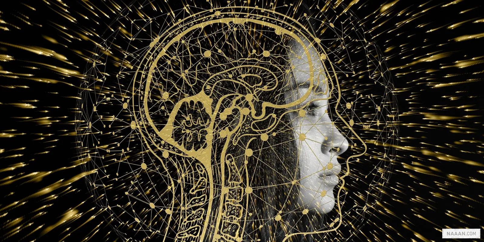 Request for Business Intelligence and Assistance