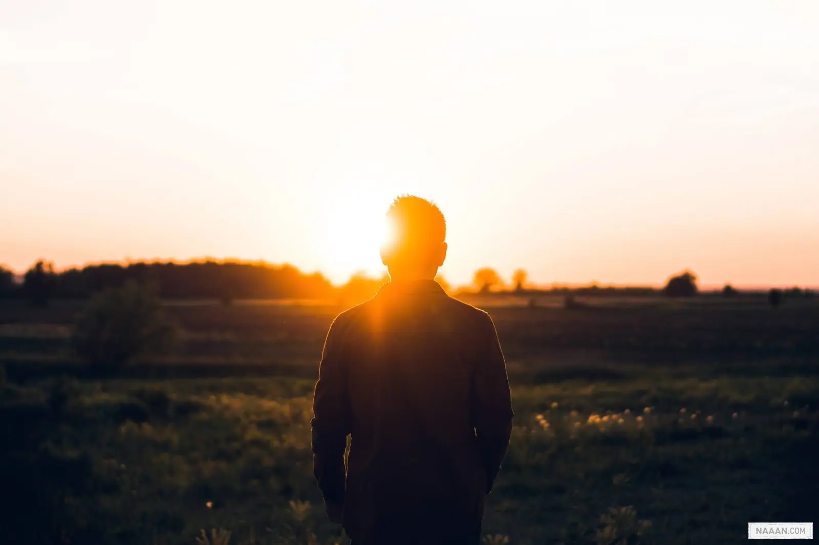 一个热情_重新找到生活的热情