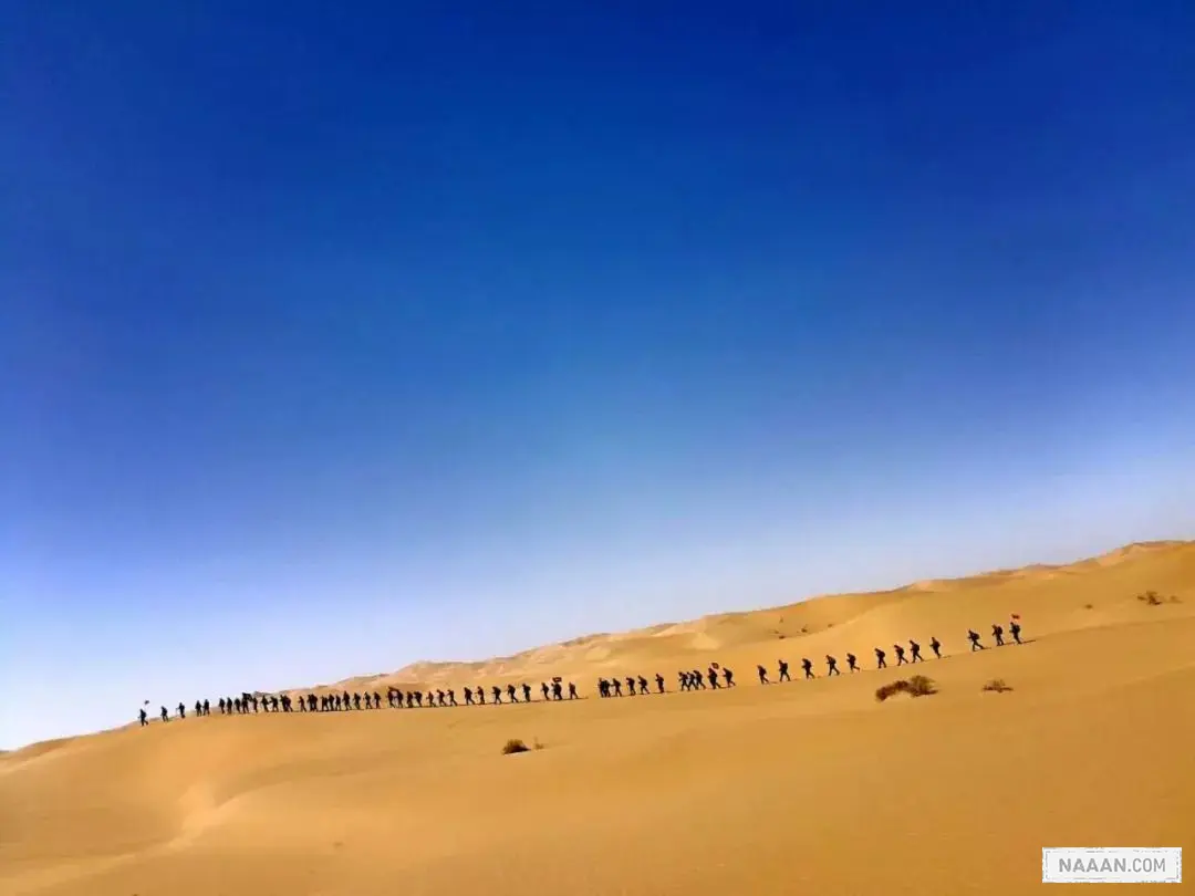 请保持对这个世界的好奇心_生活