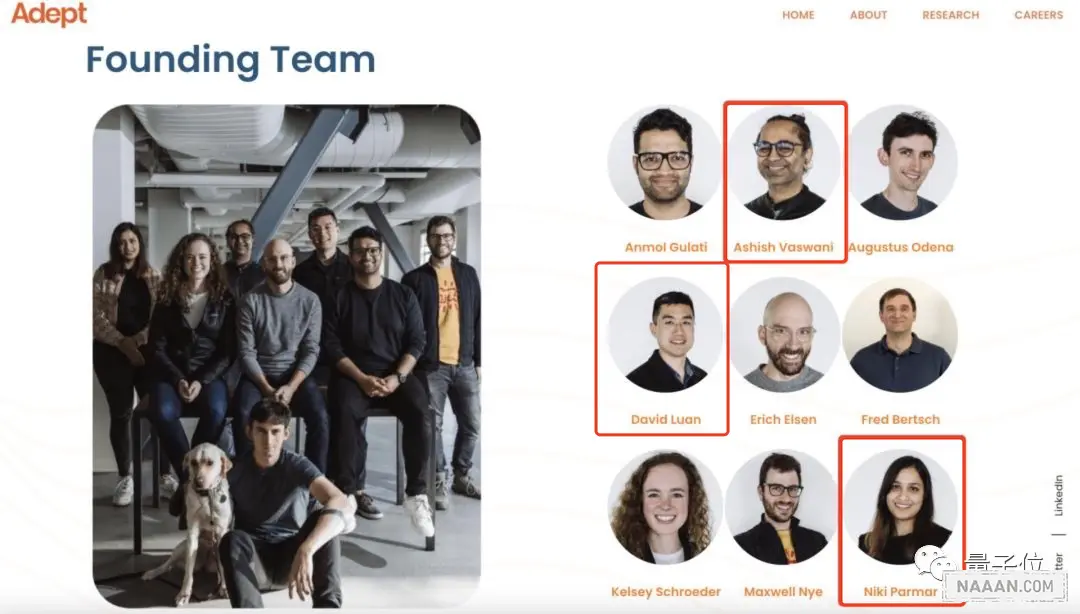 Adept 团队