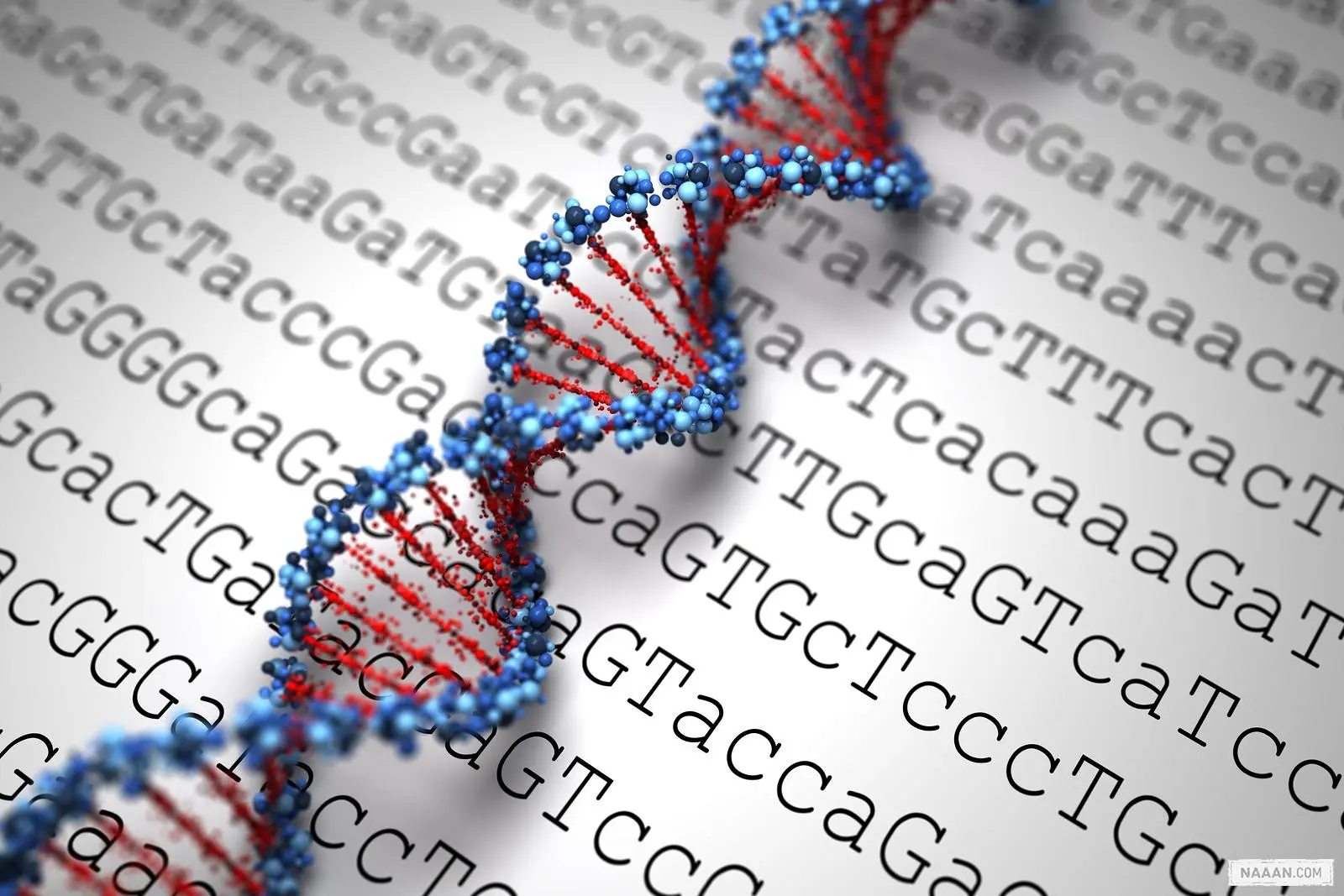 人的某些特征在多大程度上受遗传学的影响