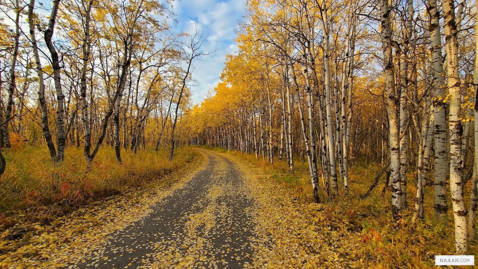 一个心智模型：知识 API