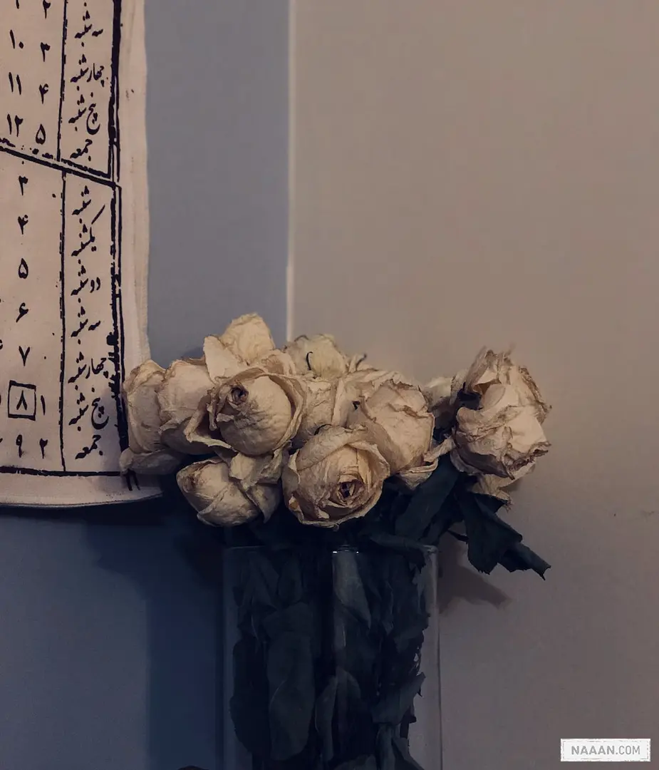 a vase filled with white flowers next to a wall